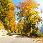 Soca Valley